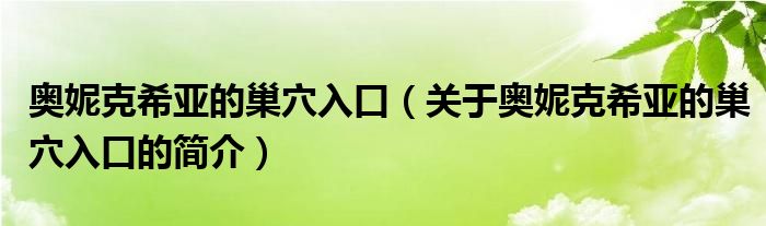 奧妮克希亞的巢穴入口（關(guān)于奧妮克希亞的巢穴入口的簡介）