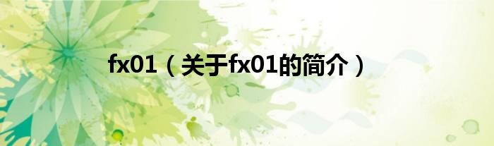 fx01（關(guān)于fx01的簡介）