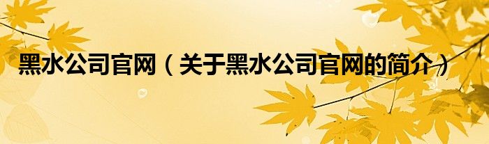 黑水公司官網(wǎng)（關于黑水公司官網(wǎng)的簡介）