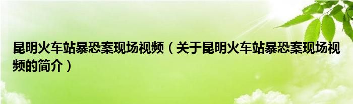 昆明火車站暴恐案現(xiàn)場視頻（關(guān)于昆明火車站暴恐案現(xiàn)場視頻的簡介）