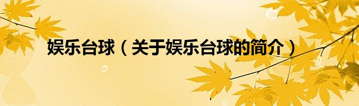 娛樂(lè)臺(tái)球（關(guān)于娛樂(lè)臺(tái)球的簡(jiǎn)介）