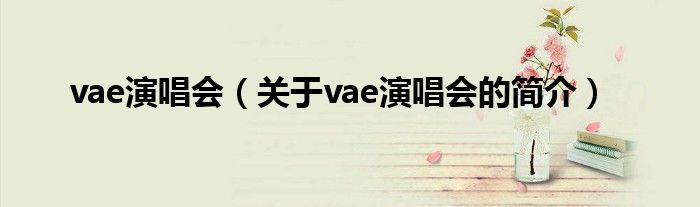 vae演唱會（關(guān)于vae演唱會的簡介）