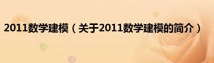 2011數(shù)學建模（關于2011數(shù)學建模的簡介）