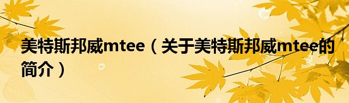 美特斯邦威mtee（關于美特斯邦威mtee的簡介）