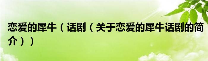 戀愛的犀牛（話?。P(guān)于戀愛的犀牛話劇的簡(jiǎn)介））