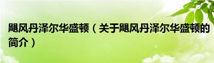 颶風丹澤爾華盛頓（關于颶風丹澤爾華盛頓的簡介）