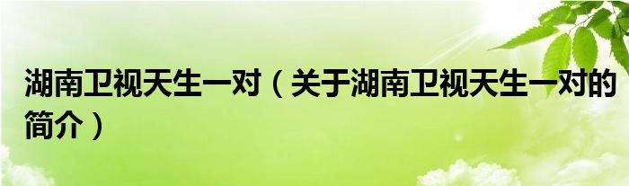 湖南衛(wèi)視天生一對(duì)（關(guān)于湖南衛(wèi)視天生一對(duì)的簡(jiǎn)介）