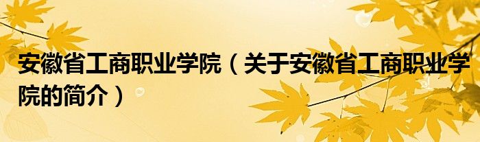 安徽省工商職業(yè)學院（關于安徽省工商職業(yè)學院的簡介）