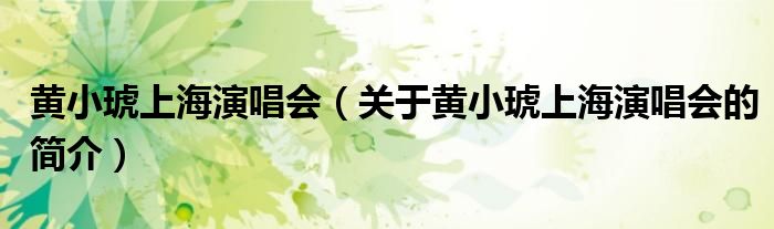 黃小琥上海演唱會(huì)（關(guān)于黃小琥上海演唱會(huì)的簡(jiǎn)介）