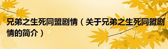 兄弟之生死同盟劇情（關(guān)于兄弟之生死同盟劇情的簡介）