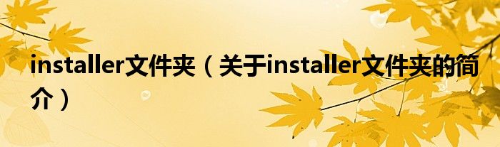 installer文件夾（關(guān)于installer文件夾的簡介）