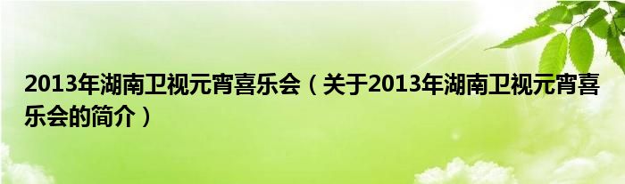 2013年湖南衛(wèi)視元宵喜樂會（關于2013年湖南衛(wèi)視元宵喜樂會的簡介）