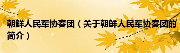 朝鮮人民軍協(xié)奏團（關于朝鮮人民軍協(xié)奏團的簡介）