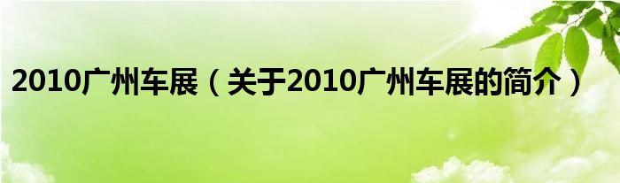 2010廣州車展（關(guān)于2010廣州車展的簡(jiǎn)介）