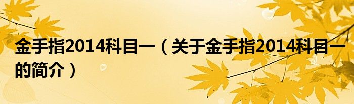 金手指2014科目一（關于金手指2014科目一的簡介）