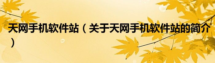 天網(wǎng)手機軟件站（關(guān)于天網(wǎng)手機軟件站的簡介）