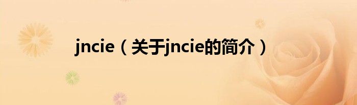 jncie（關(guān)于jncie的簡(jiǎn)介）