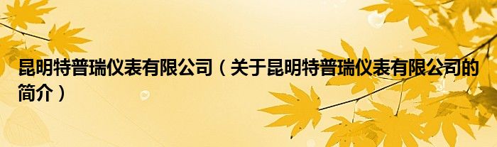 昆明特普瑞儀表有限公司（關(guān)于昆明特普瑞儀表有限公司的簡介）