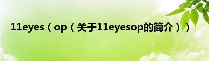 11eyes（op（關(guān)于11eyesop的簡(jiǎn)介））