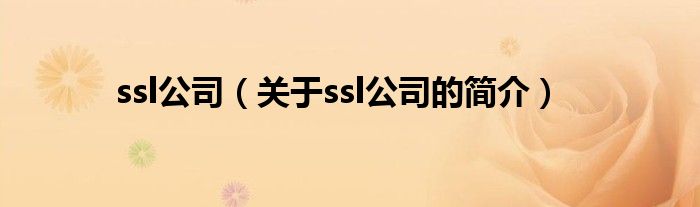 ssl公司（關于ssl公司的簡介）