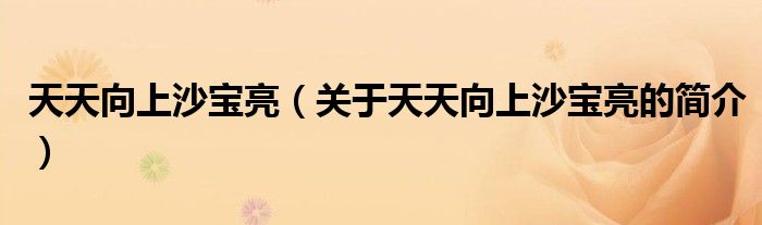 天天向上沙寶亮（關(guān)于天天向上沙寶亮的簡(jiǎn)介）