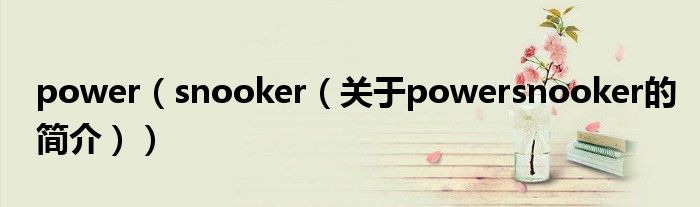 power（snooker（關(guān)于powersnooker的簡介））