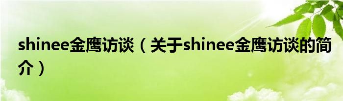 shinee金鷹訪談（關于shinee金鷹訪談的簡介）