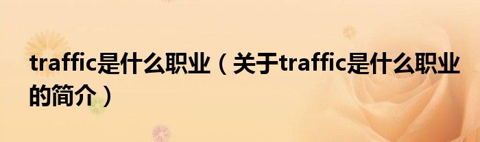 traffic是什么職業(yè)（關(guān)于traffic是什么職業(yè)的簡(jiǎn)介）