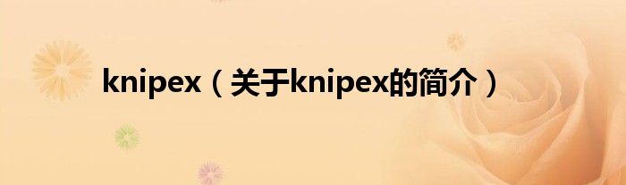 knipex（關于knipex的簡介）