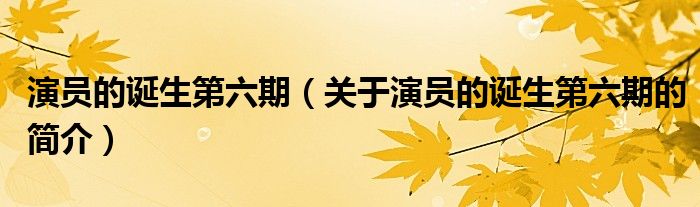 演員的誕生第六期（關(guān)于演員的誕生第六期的簡(jiǎn)介）