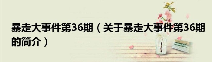 暴走大事件第36期（關(guān)于暴走大事件第36期的簡介）