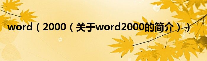 word（2000（關(guān)于word2000的簡介））