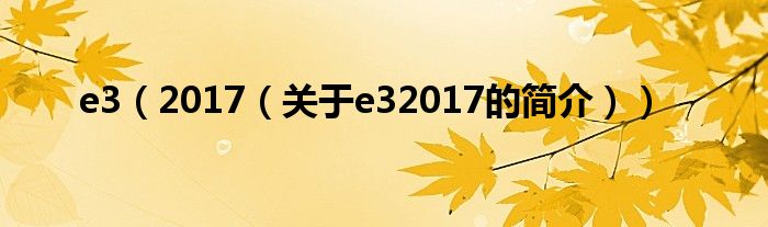 e3（2017（關(guān)于e32017的簡介））