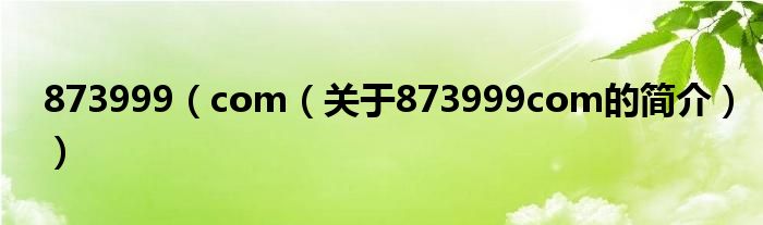 873999（com（關(guān)于873999com的簡(jiǎn)介））