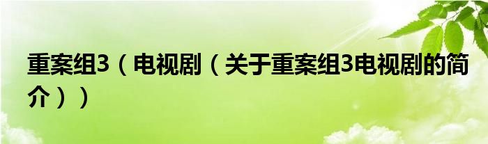 重案組3（電視劇（關于重案組3電視劇的簡介））