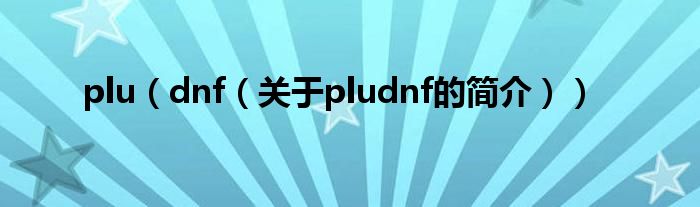 plu（dnf（關(guān)于pludnf的簡介））