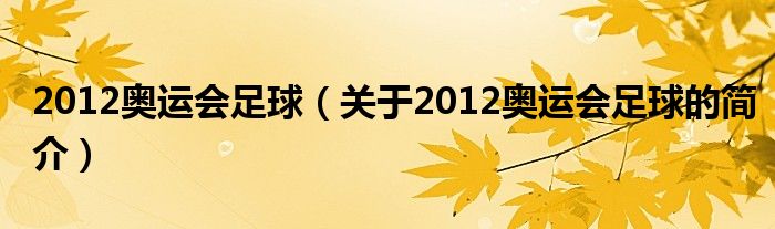 2012奧運會足球（關于2012奧運會足球的簡介）