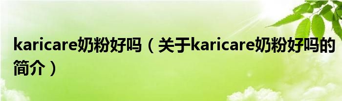 karicare奶粉好嗎（關(guān)于karicare奶粉好嗎的簡(jiǎn)介）