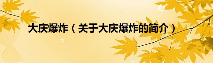 大慶爆炸（關(guān)于大慶爆炸的簡介）