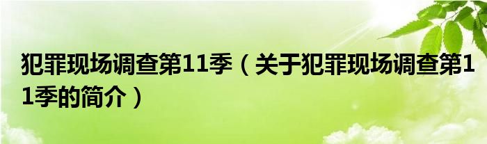 犯罪現(xiàn)場調查第11季（關于犯罪現(xiàn)場調查第11季的簡介）