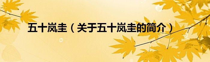 五十嵐圭（關(guān)于五十嵐圭的簡(jiǎn)介）