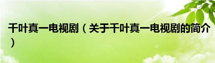 千葉真一電視?。P(guān)于千葉真一電視劇的簡(jiǎn)介）