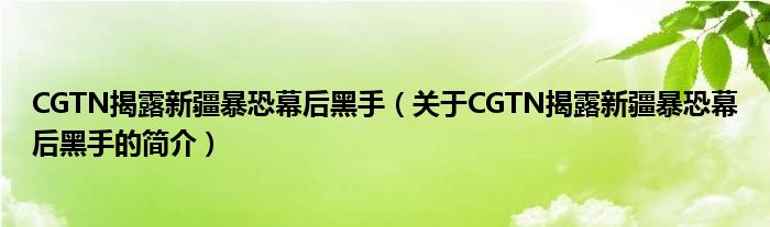 CGTN揭露新疆暴恐幕后黑手（關(guān)于CGTN揭露新疆暴恐幕后黑手的簡(jiǎn)介）