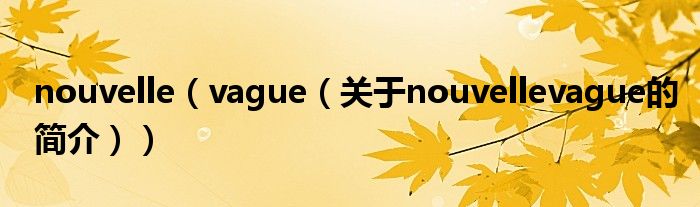 nouvelle（vague（關(guān)于nouvellevague的簡介））