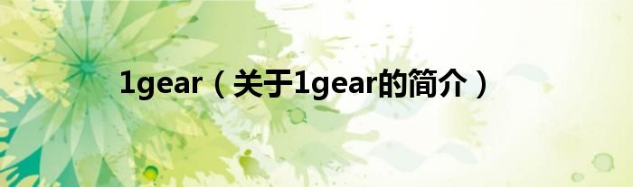 1gear（關(guān)于1gear的簡介）