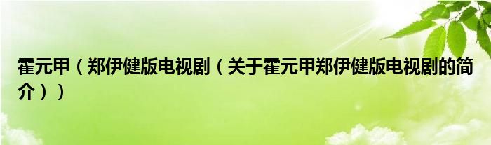 霍元甲（鄭伊健版電視?。P(guān)于霍元甲鄭伊健版電視劇的簡(jiǎn)介））