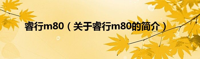 睿行m80（關(guān)于睿行m80的簡介）