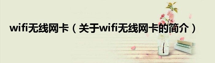 wifi無線網(wǎng)卡（關(guān)于wifi無線網(wǎng)卡的簡介）