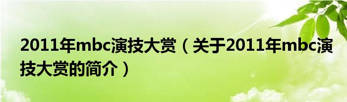 2011年mbc演技大賞（關(guān)于2011年mbc演技大賞的簡介）