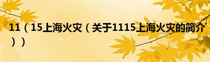 11（15上?；馂?zāi)（關(guān)于1115上海火災(zāi)的簡介））